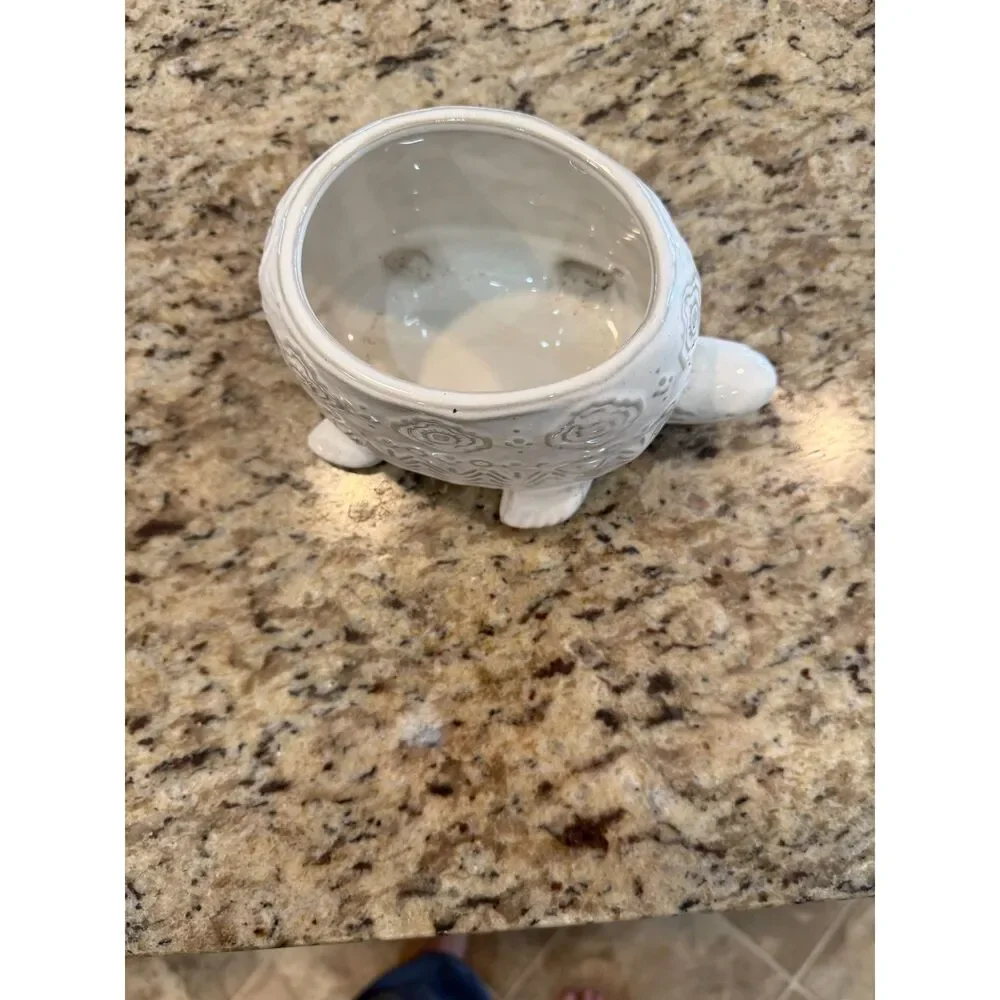 Anthropologie White Ceramic Turtle PlanterEmbossed Succulent Pot Coastal Boho